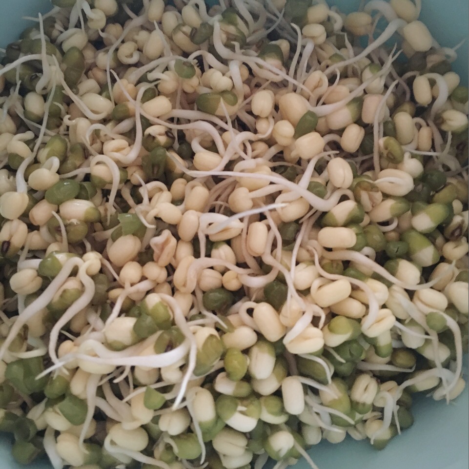 lareina做的教你发营养超值的短豆芽