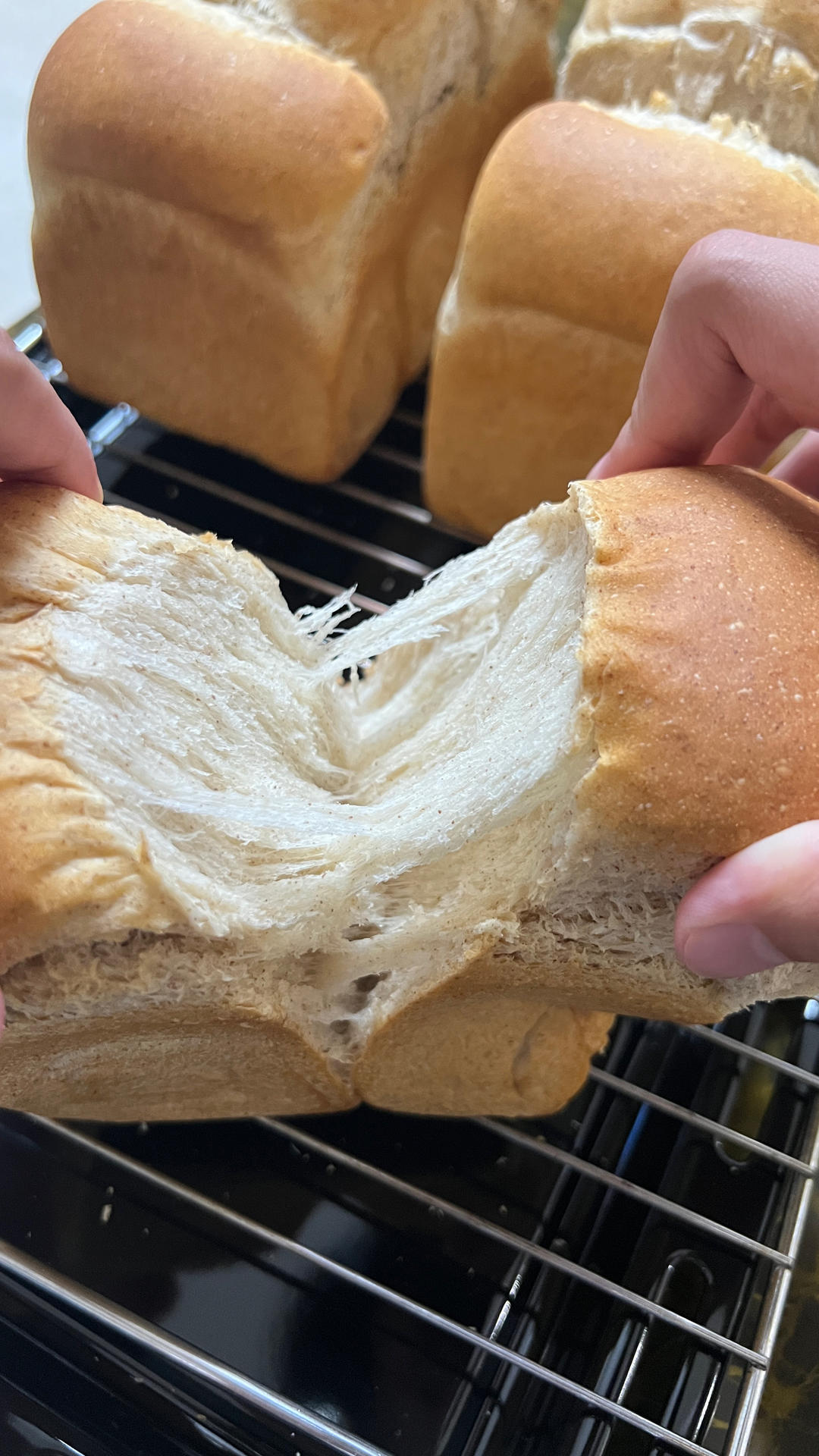 山茶油全麦吐司