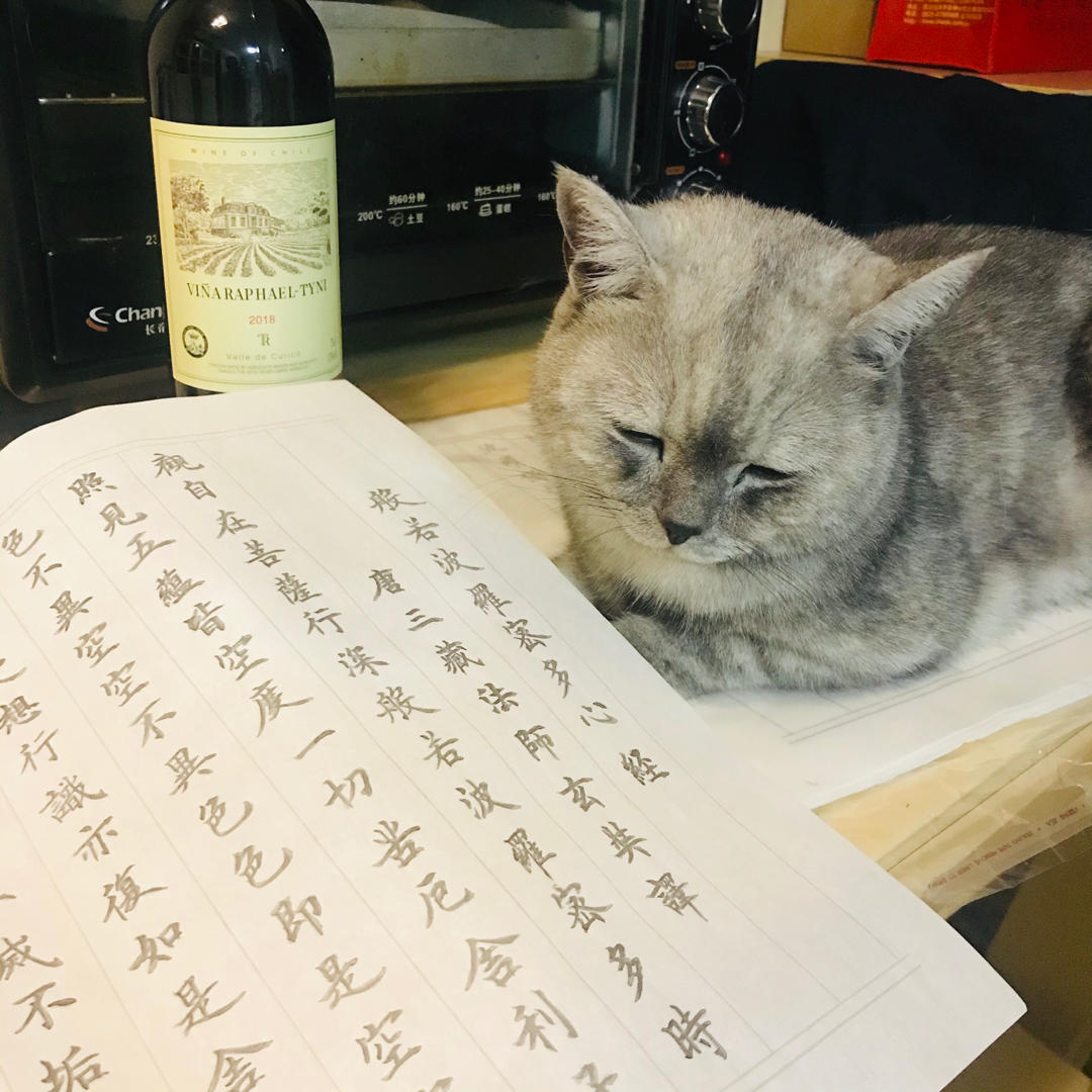 爱健身的倾九九