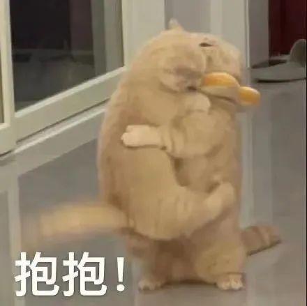 🔥巨好吃的红烧排骨炖土豆❗️懒人版轻松做拿手菜