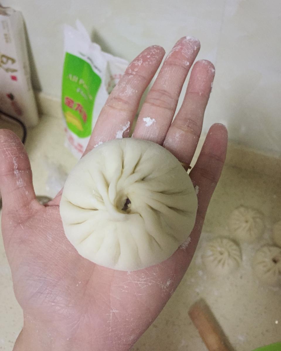 猪肉包子（附视频。一次性发酵。）