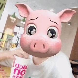 我的餐桌是地球