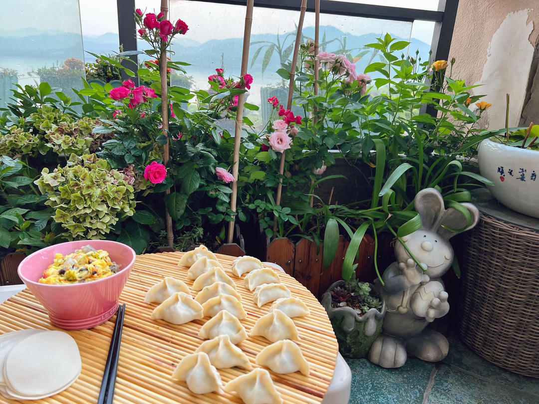 素饺子的极致美味 西葫芦鸡蛋饺子