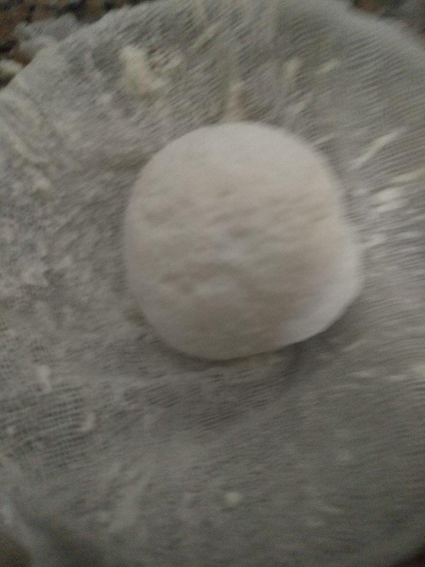 自制宝宝奶酪