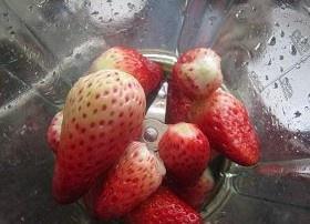 草莓果粒酸奶&草莓奶昔的做法 步骤1