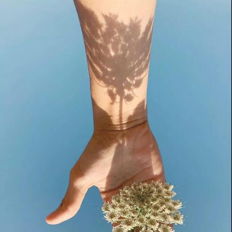 彤彤麻麻丫