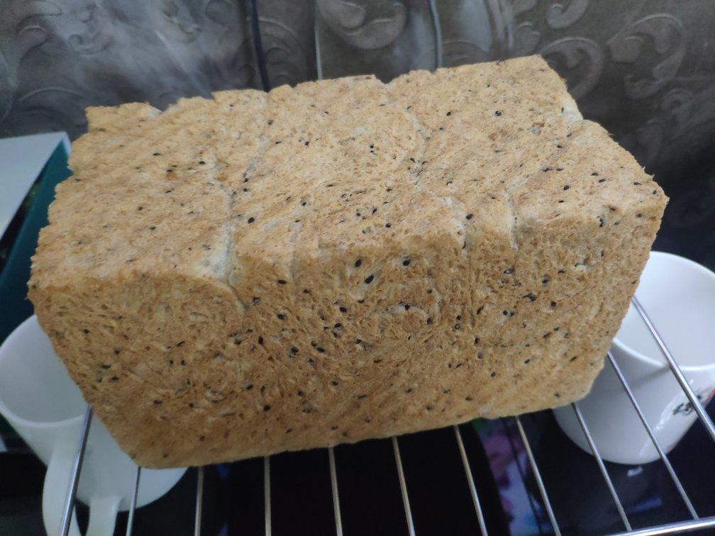 双种芝麻全麦吐司 100%全麦 烫种+波兰种