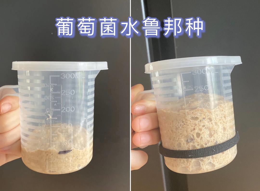 天然酵母葡萄菌水/鲁邦液种/水果菌种完整记录/后期保存喂养+面包用量的做法