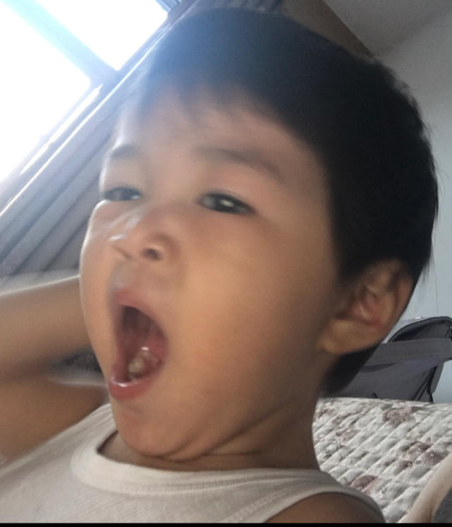 羊儿还在山坡吃草