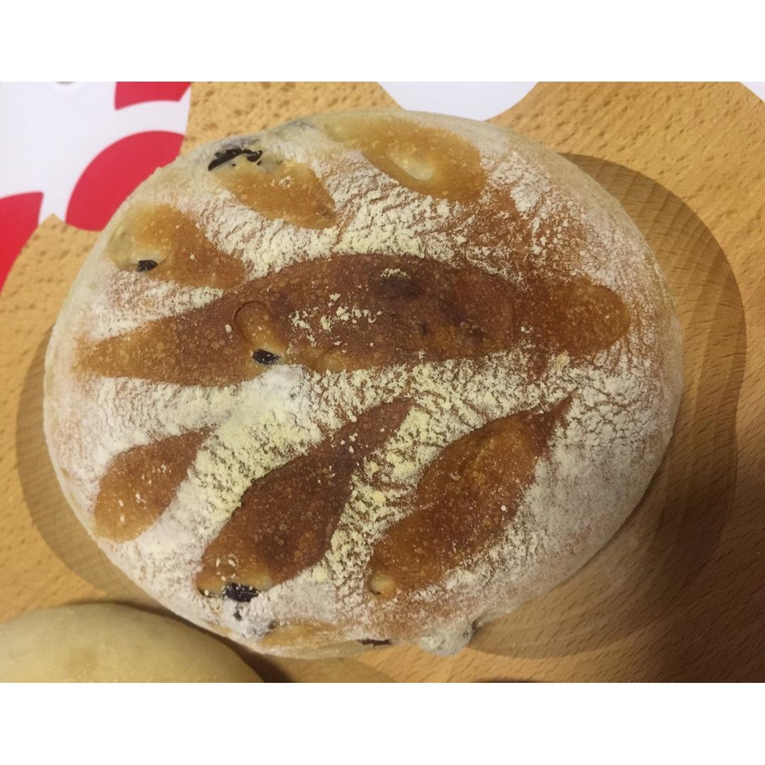 黑麦蔓越莓软欧包