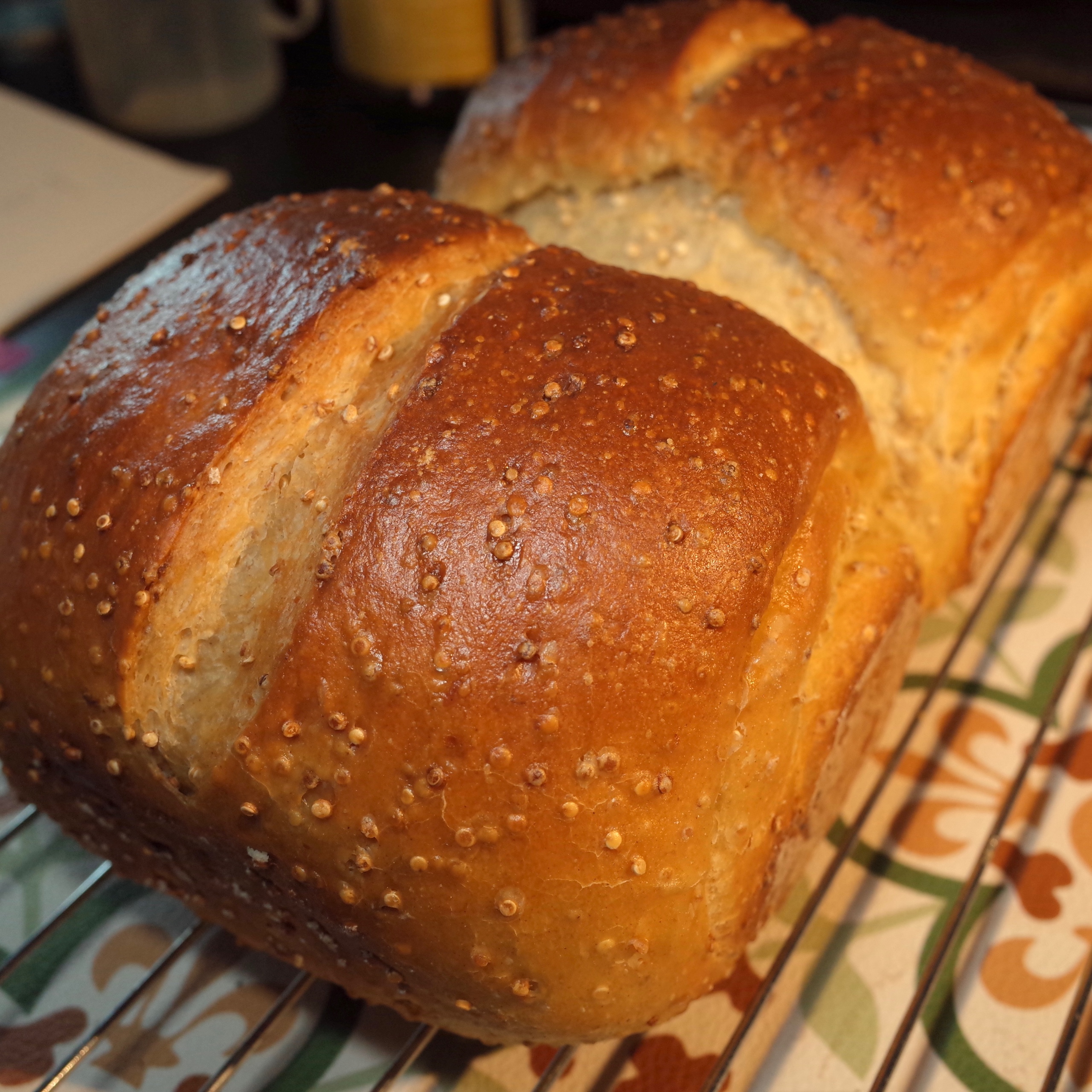 Whole-Wheat Bread的做法