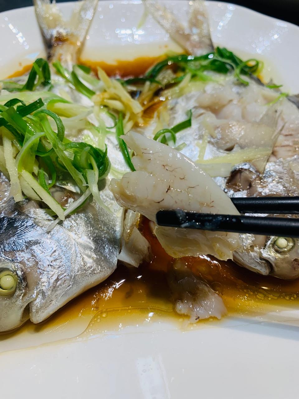 清蒸野生白鲳鱼(肉质入口即化,鲜嫩)的做法 步骤10