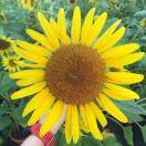 手机用户1457_tqi8