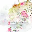 上好佳_0i2f