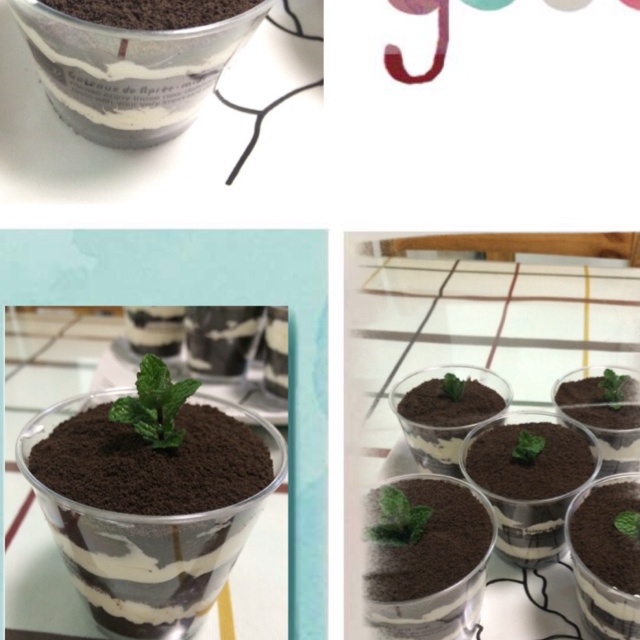 木糠杯——适合小白做的甜品