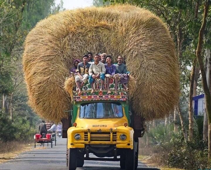 6寸基础戚风（蛋糕胚）