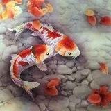 快刀的快乐生活-----