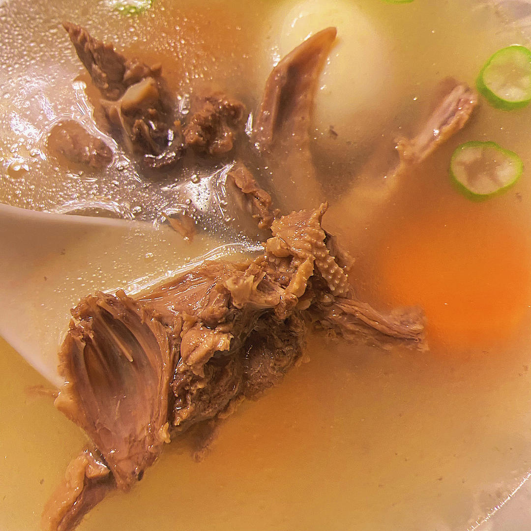 零失败养生鸽子汤