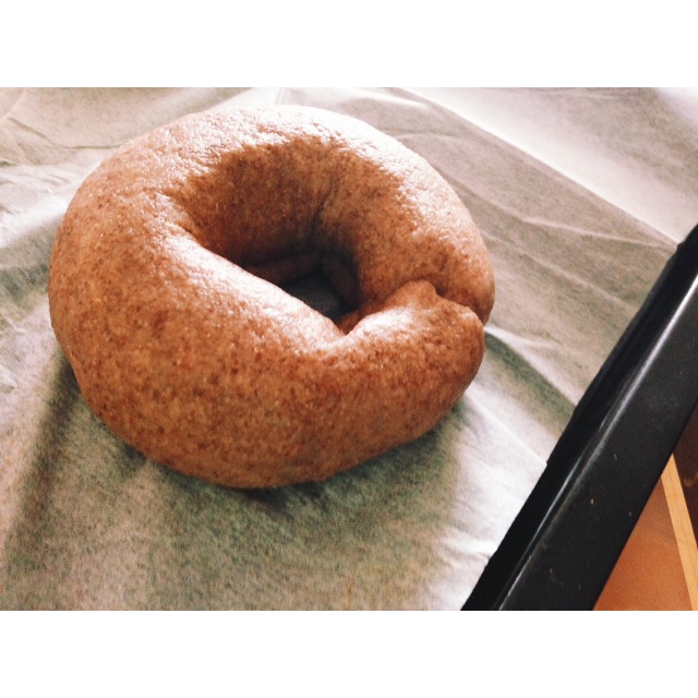 Siri要好好减肥吃好吃的