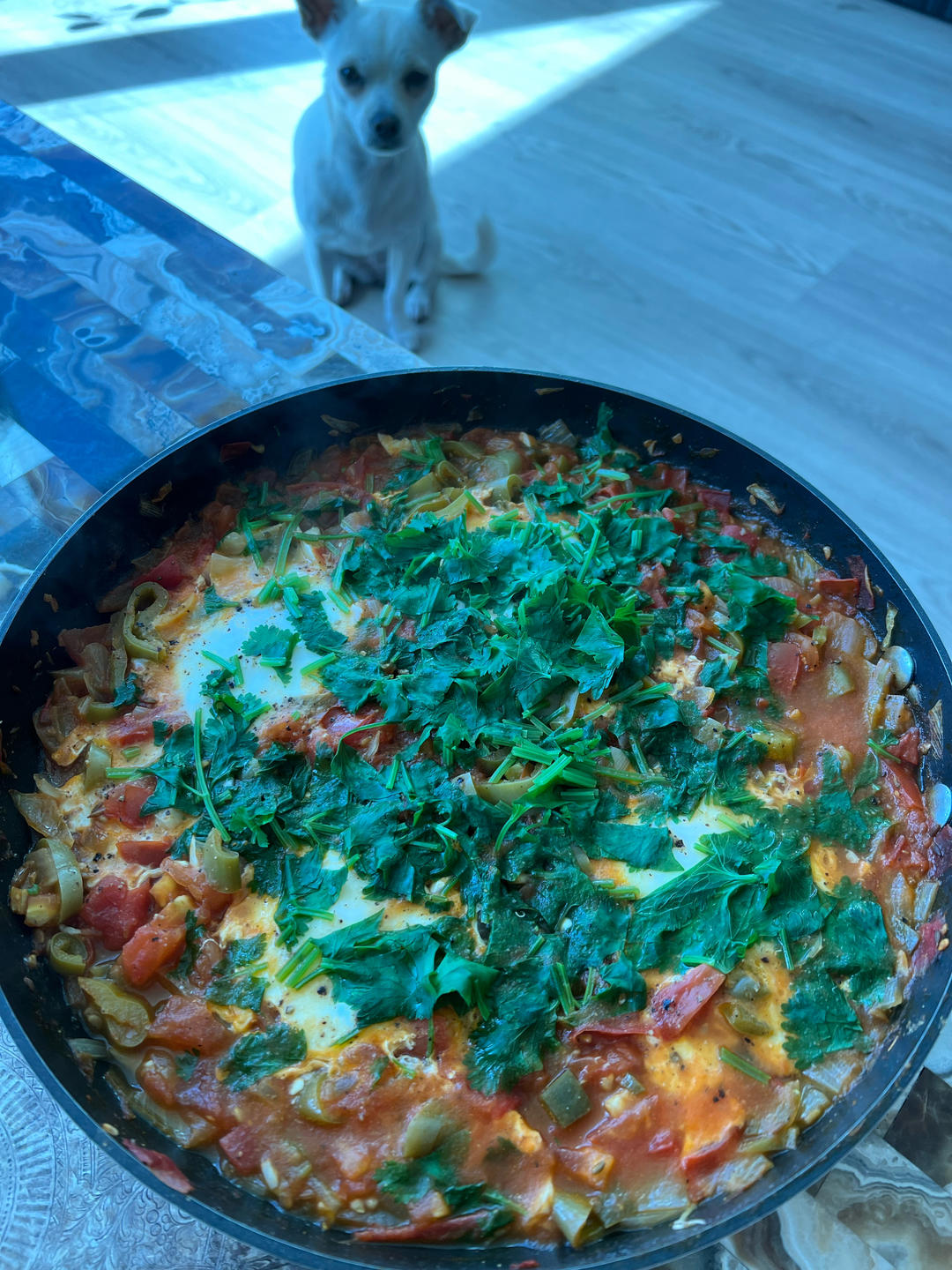 【终极烹饪课程】北非蛋