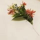 厨房小白的成长史