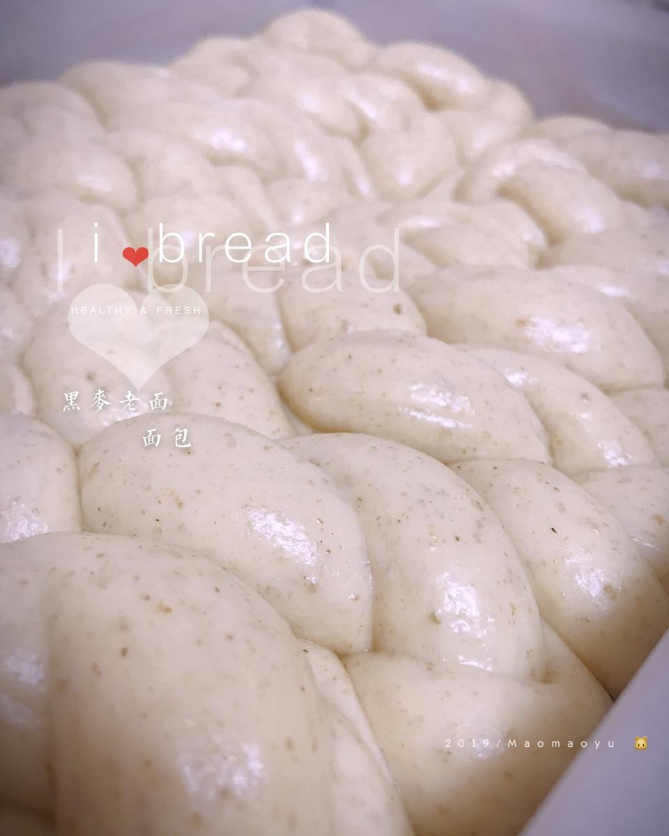 老面包（爱和自由）