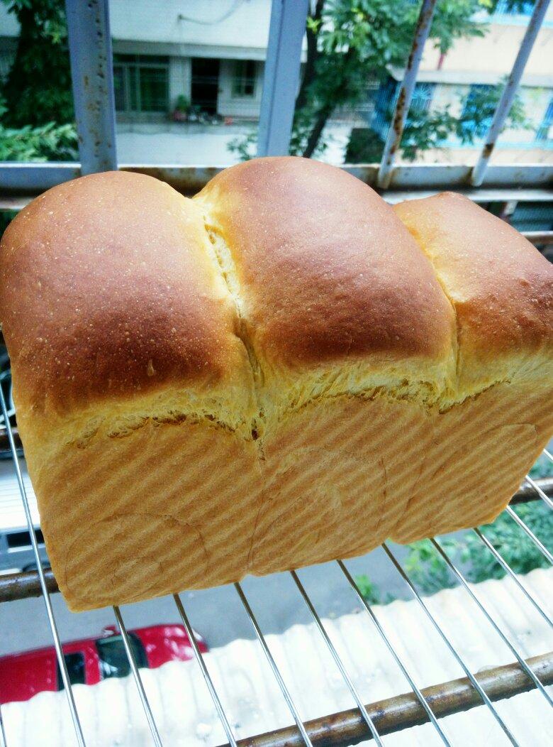 《Tinrry+》软绵绵的白吐司