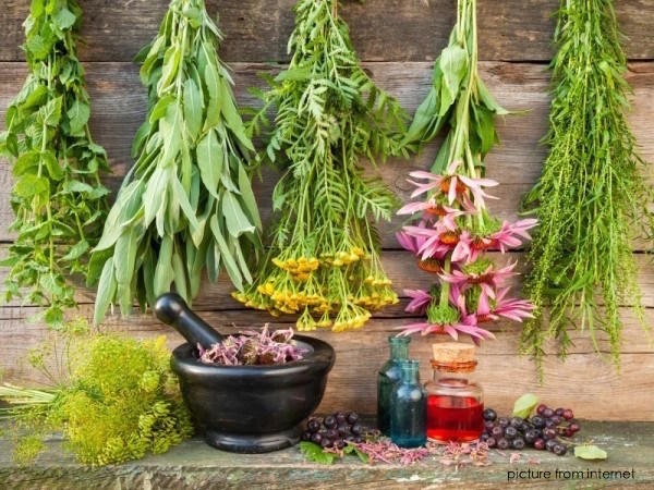 Medical&Culinary Herbs and Spices的做法