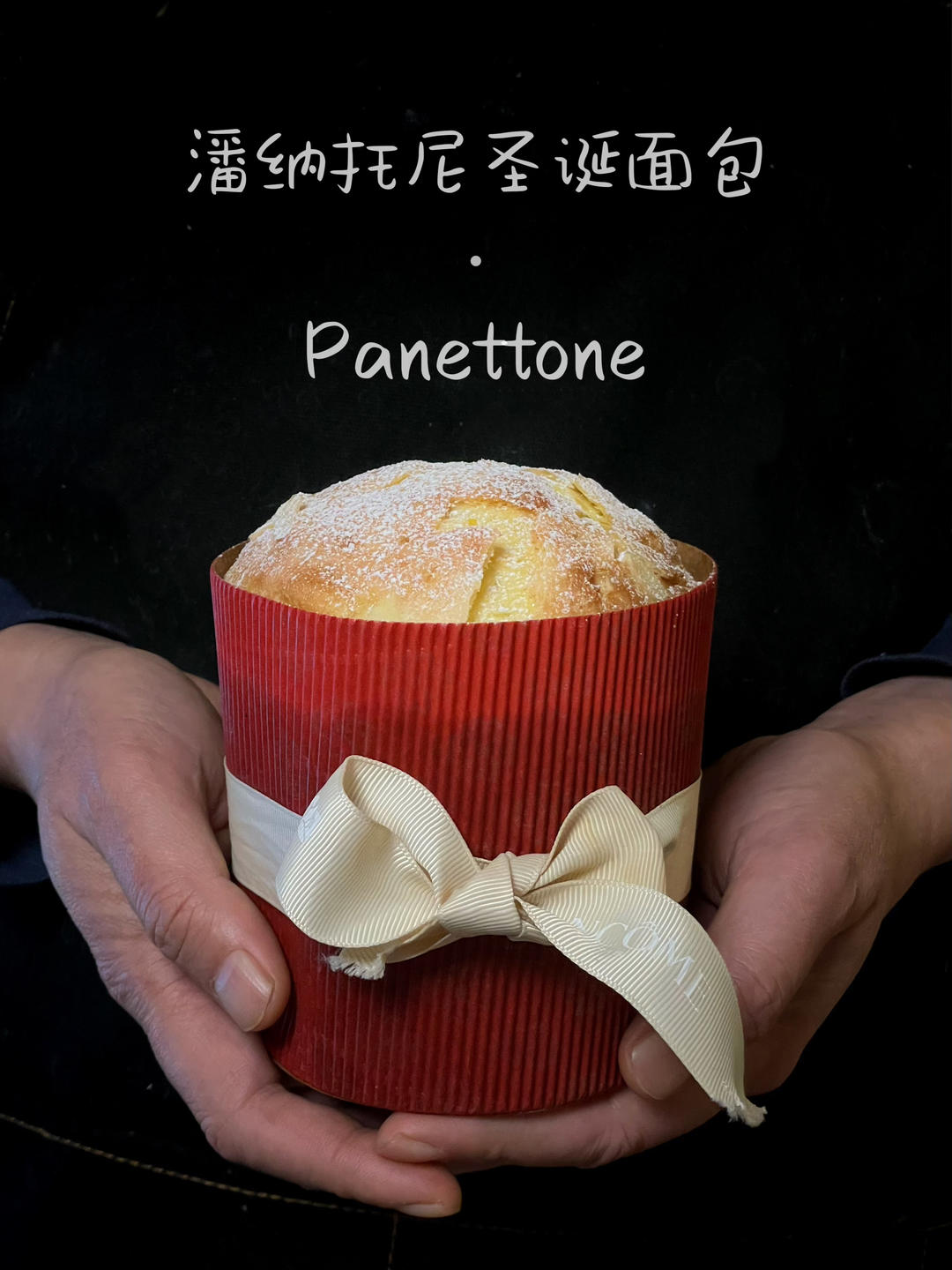 潘娜托尼 圣诞面包           Panettone（中种法）