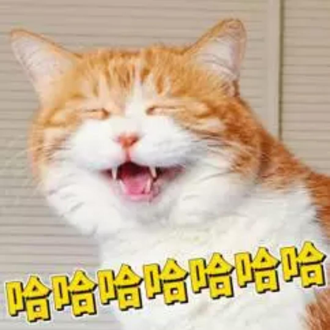 JJJJJJJJ