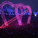 有着不一样的梦想