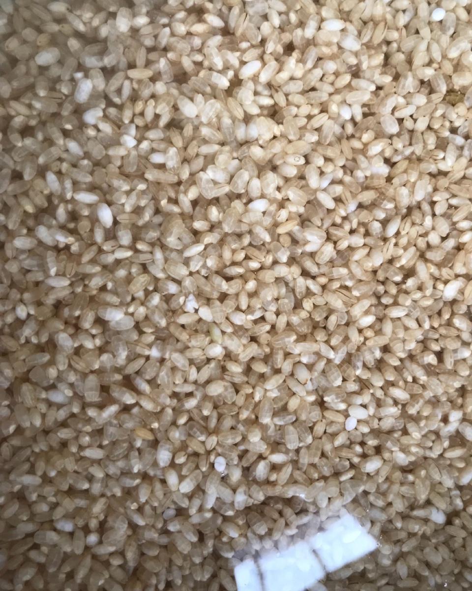 发芽糙米饭丨健康·三餐