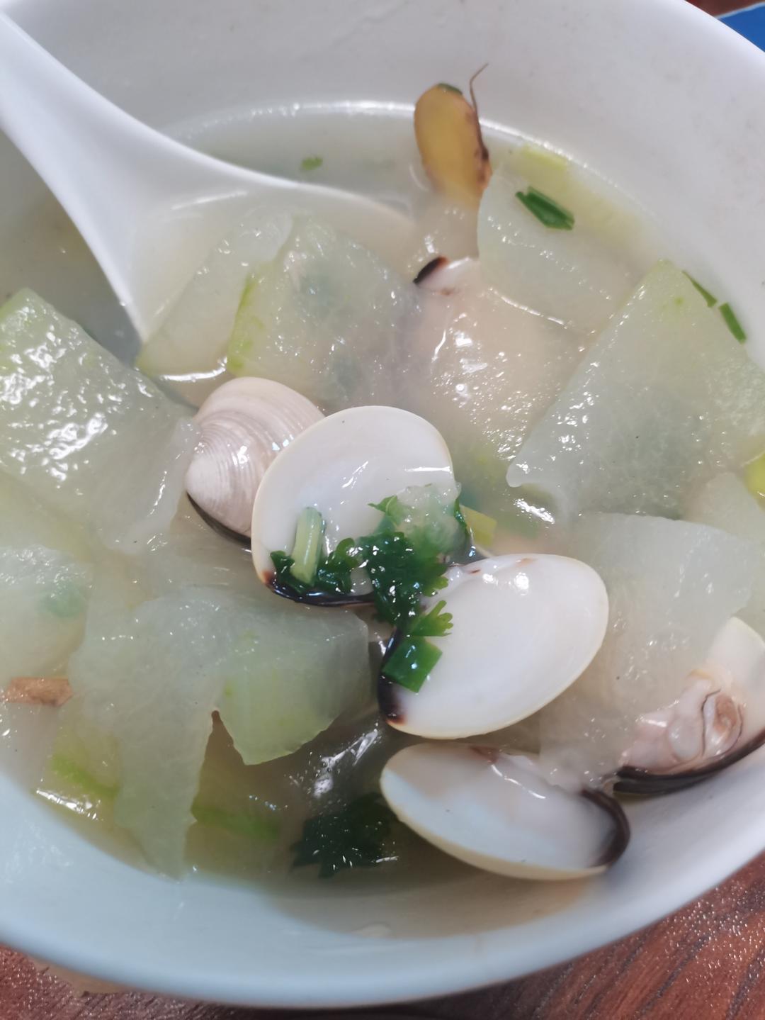 白贝冬瓜鲜味汤