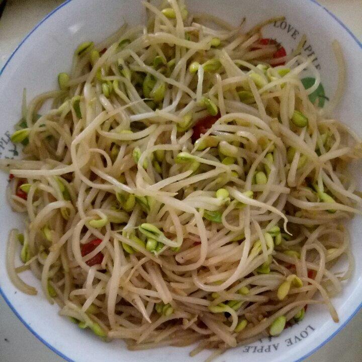 素炒豆芽