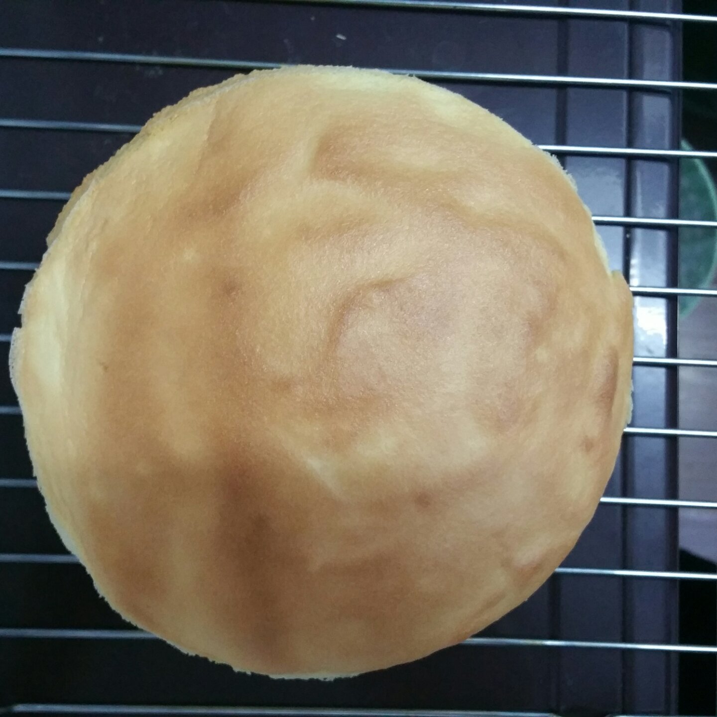 椰浆蛋糕