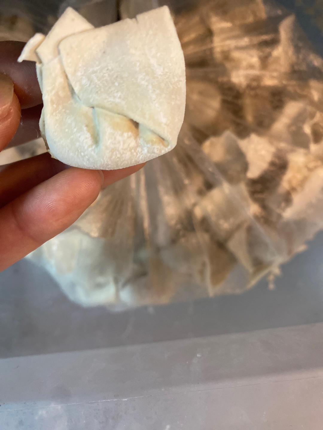 肉不柴的馄饨馅