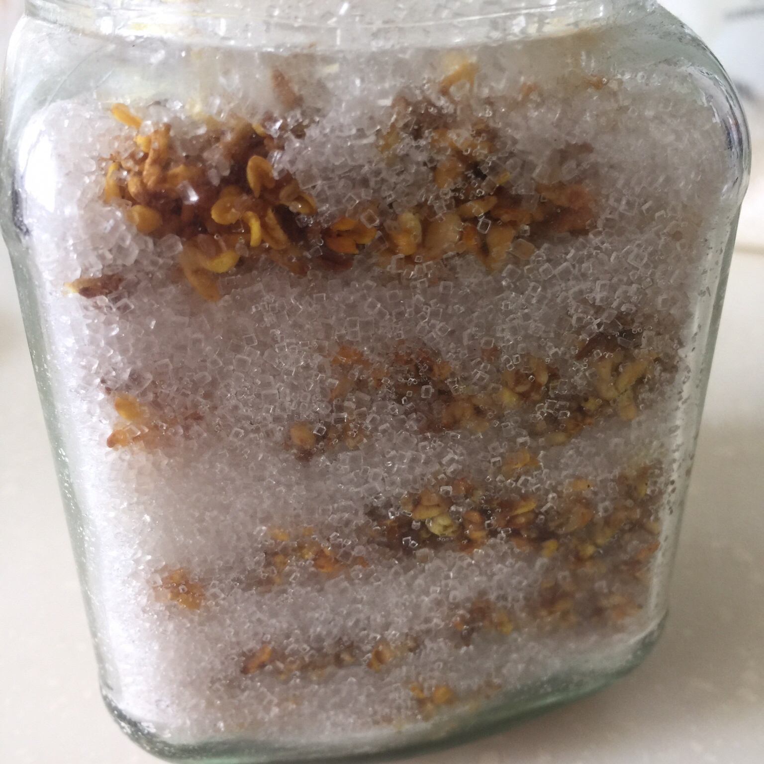 自制糖桂花