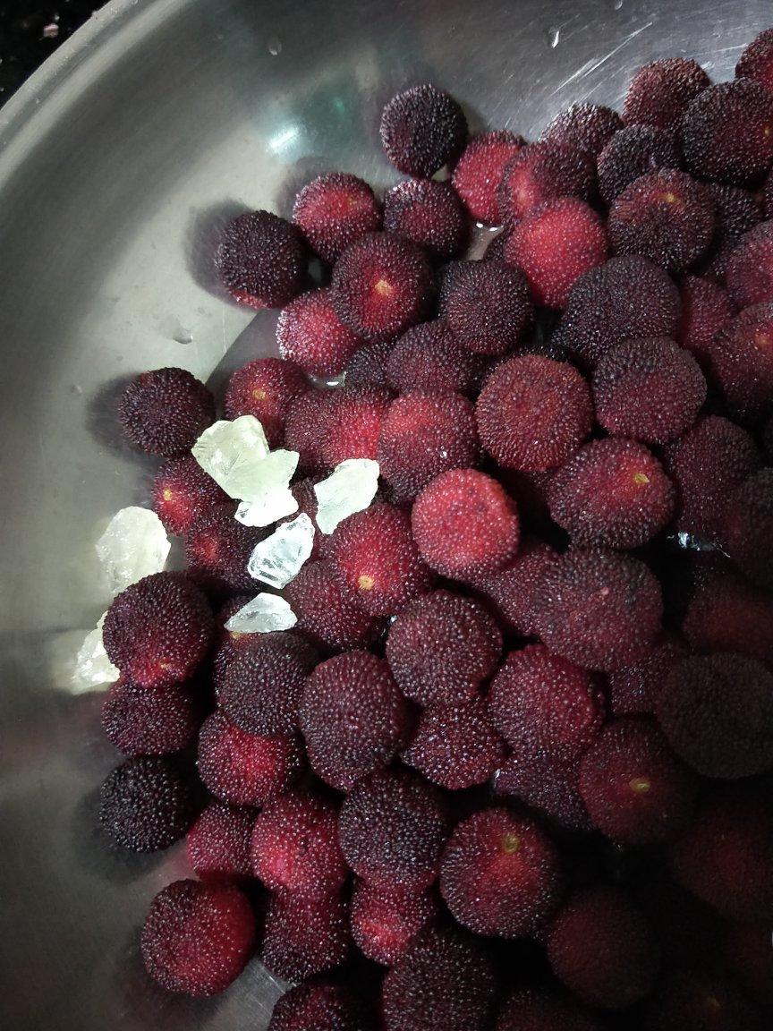 原汁原味的杨梅干