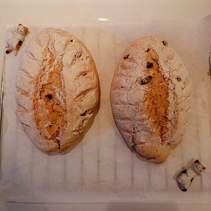 真正零难度的全麦欧包