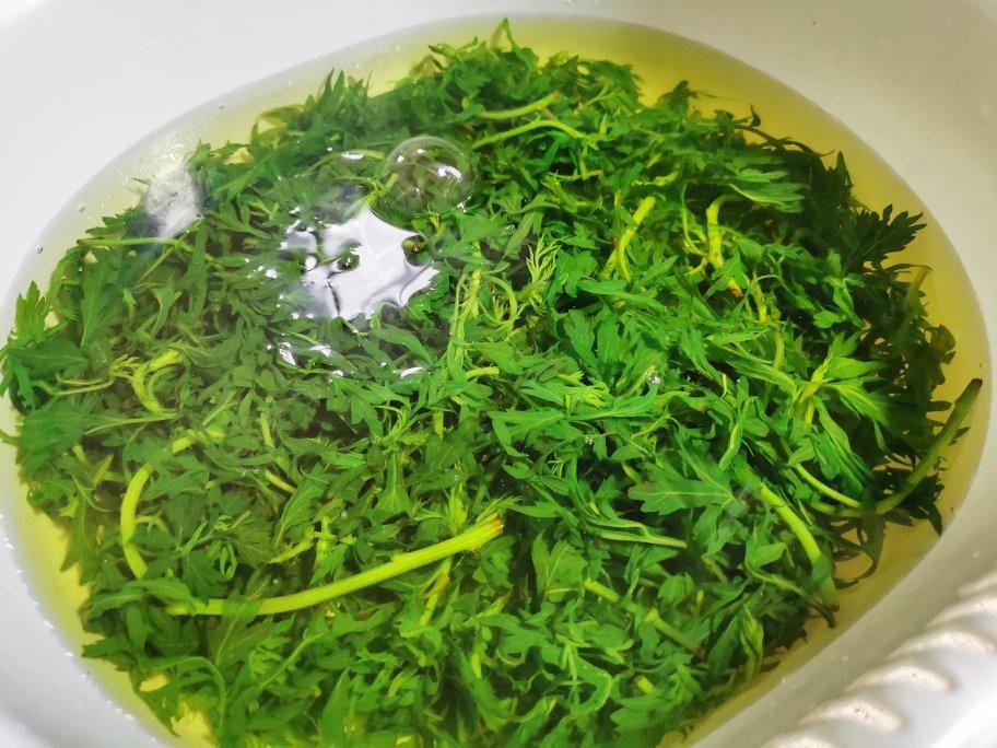 青团原料 | 艾草泥（汁）的做法