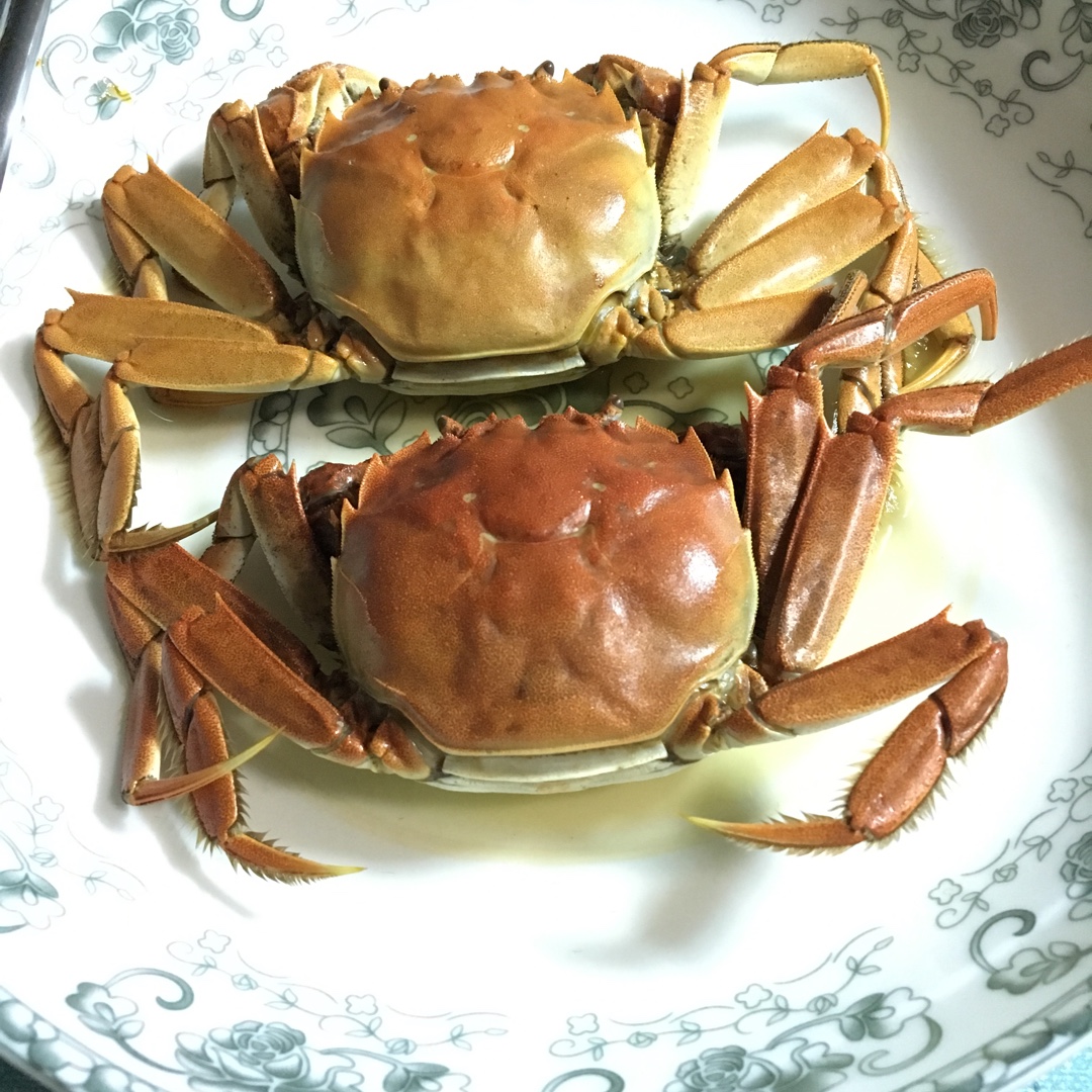清蒸大闸蟹