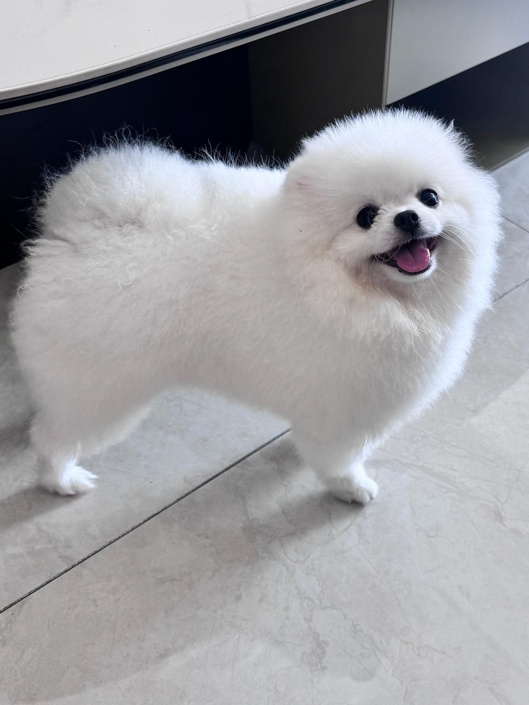 小雨玉萌萌