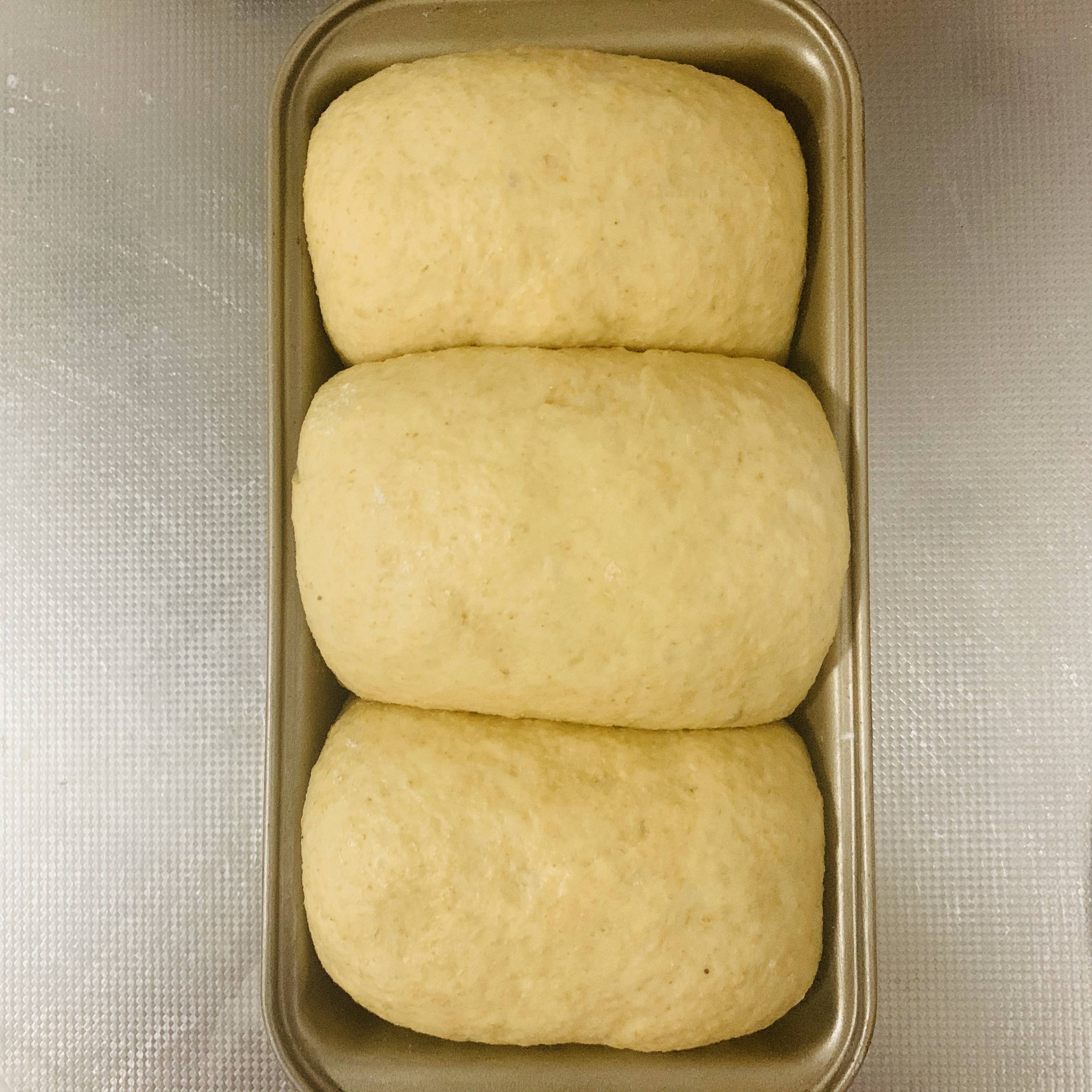 全麦燕麦吐司面包（一次发酵不过夜）的做法 步骤11