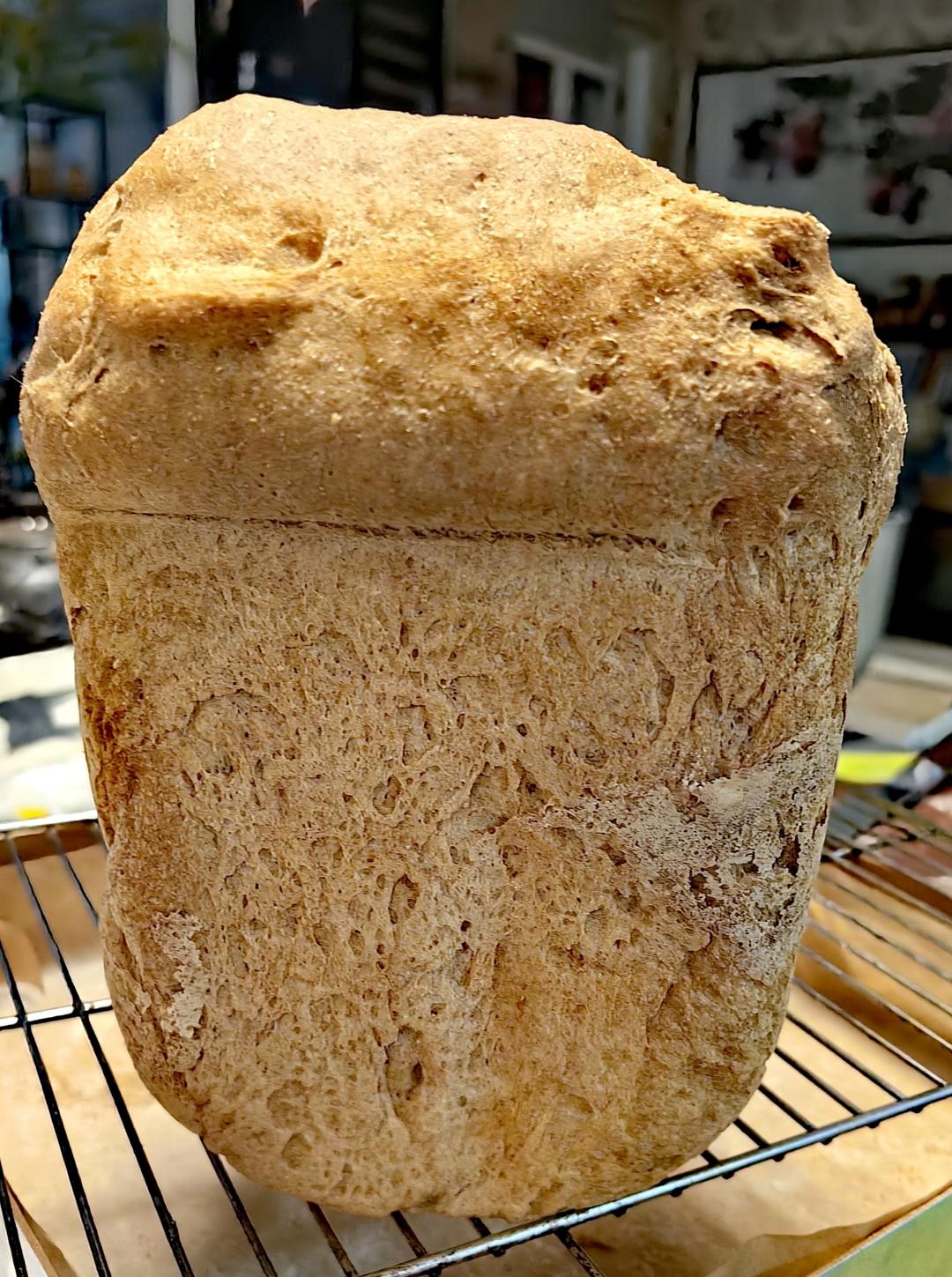 松下面包机p1000无油无糖100%全麦吐司