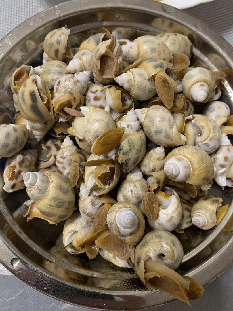 辣酒煮花螺