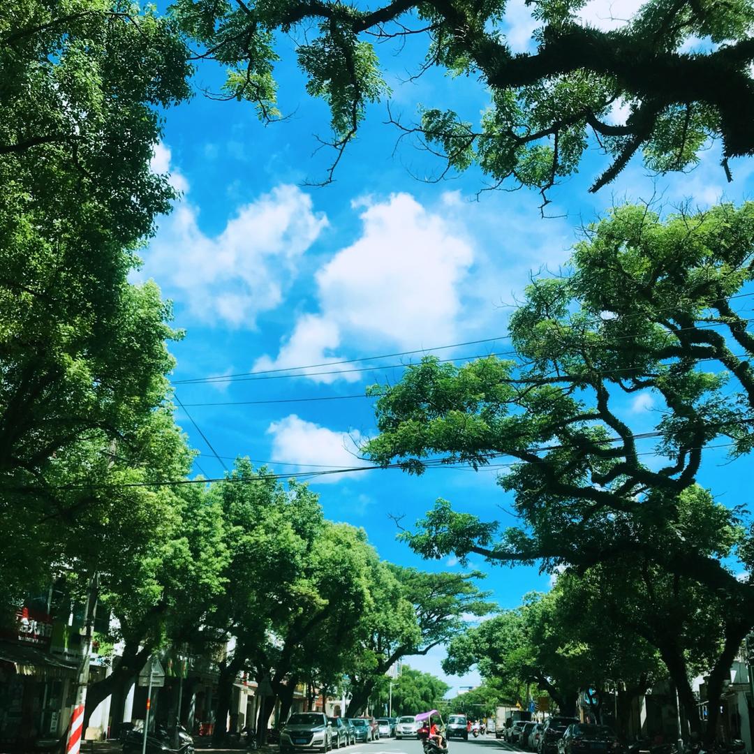 爱吃果冻的吴小姐