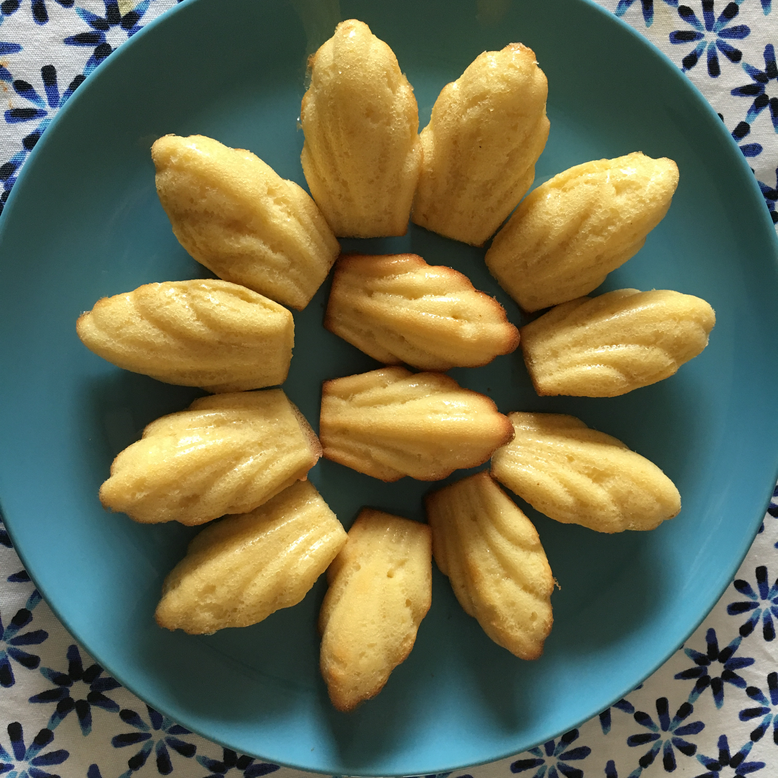 玛德琳（蓝带方）