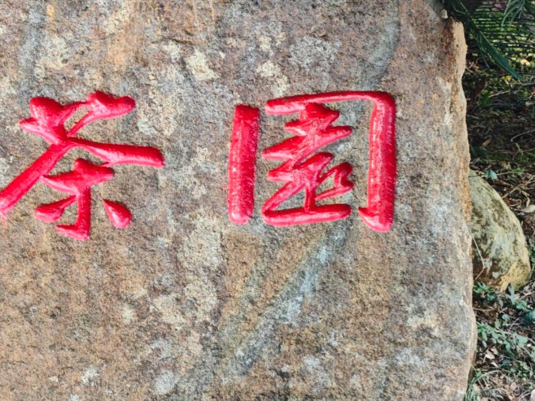 风起来了