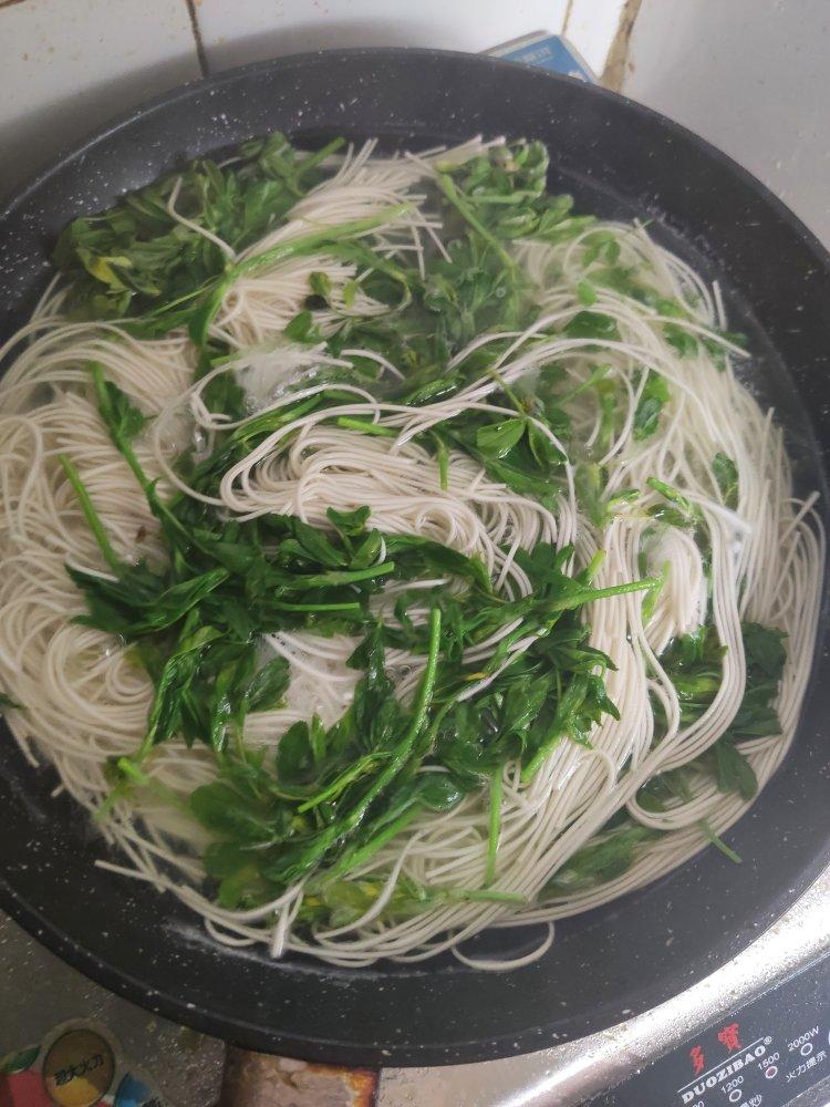 苜蓿面片