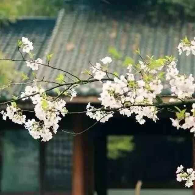 哈哈007李